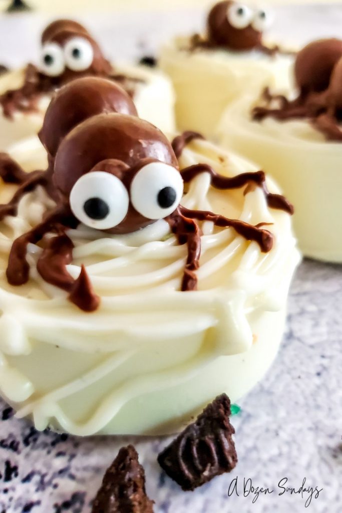 Easy chocolate covered Oreo spiders - A Dozen Sundays