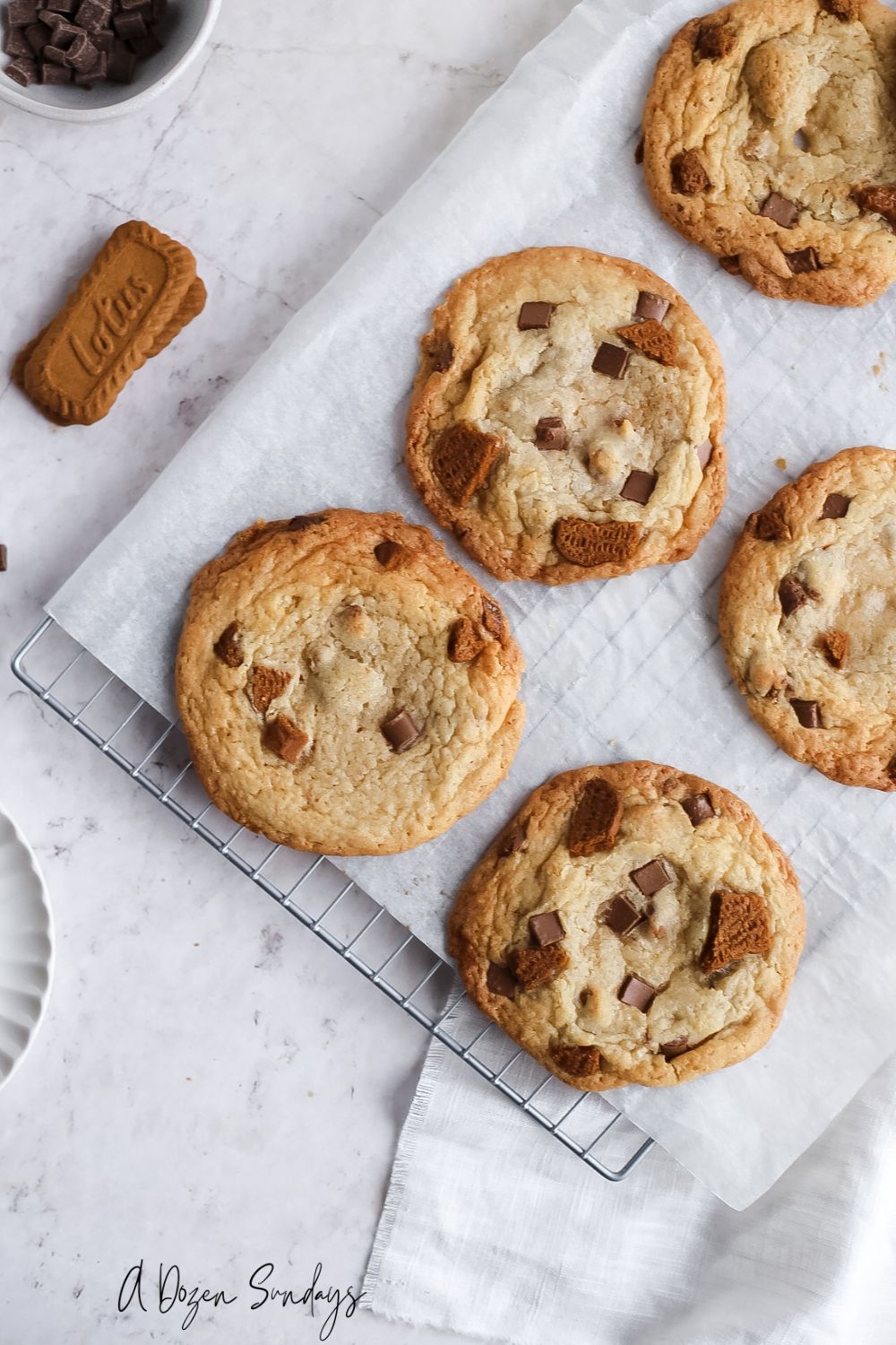 Lotus Biscoff Cookies with Chocolate Chips