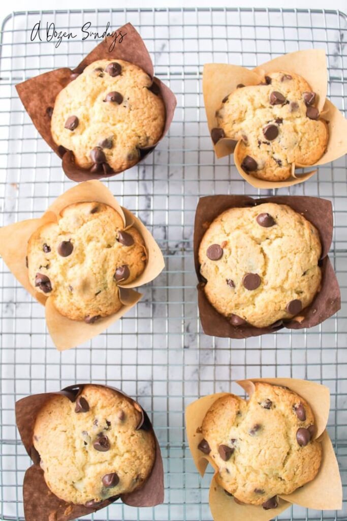 6 chocolate chip muffins