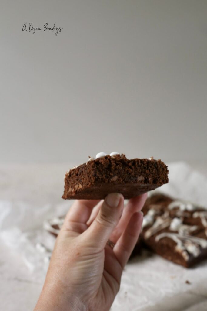 Spiderweb Brownies